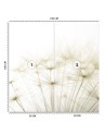 Stylowe fototapety - Dmuchawce w bieli | FEEBY