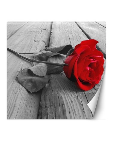 Wallpaper - Red rose on a bridge | FEEBY
