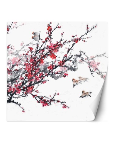 Beautiful wall murals - Birds on a cherry blossom branch | FEEBY