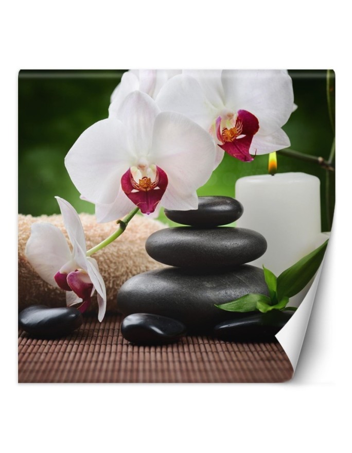 Fototapeta - Orchidea świeczka i kamienie zen w SPA | FEEBY