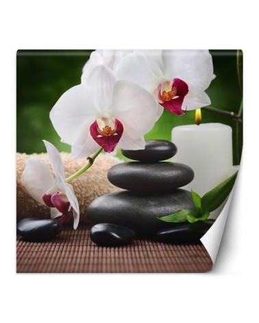 Wall mural - Orchid candle and zen stones in spa | FEEBY