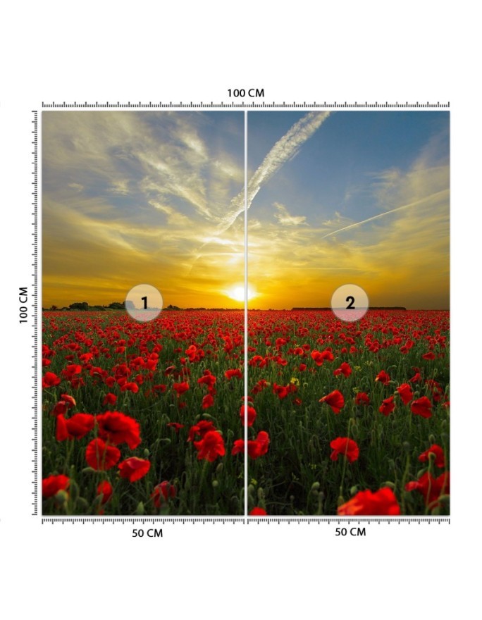 Fototapeta na ścianę - Maki kwiaty łąka | FEEBY