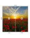 Fototapeta na ścianę - Maki kwiaty łąka | FEEBY