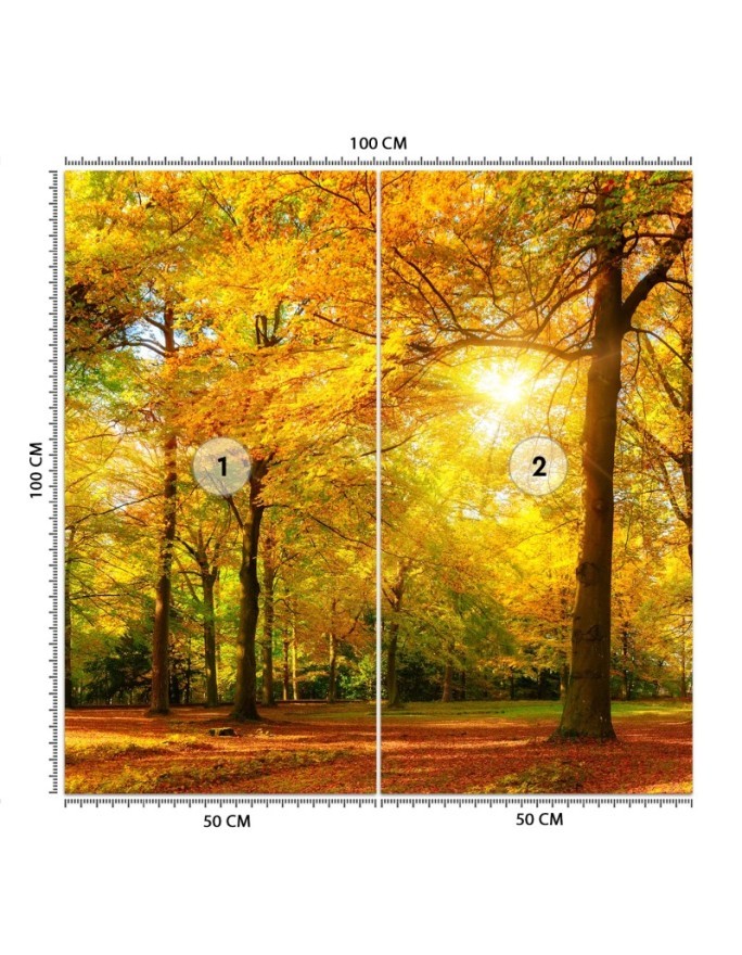 Stylowe fototapety - Jesienny las w promieniach słońca | FEEBY