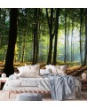 Fototapeta - Las drzewa promienie słońca natura | FEEBY