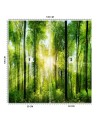 Fototapeta ze zdjęcia - Las drzewa promienie słońca natura | FEEBY
