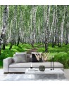 Photo wall mural - Birch forest and forest path | FEEBY