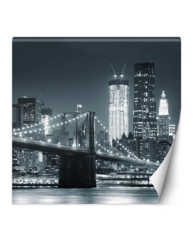 Wallpapers - Brooklyn Bridge at night New York black and white | FEEBY