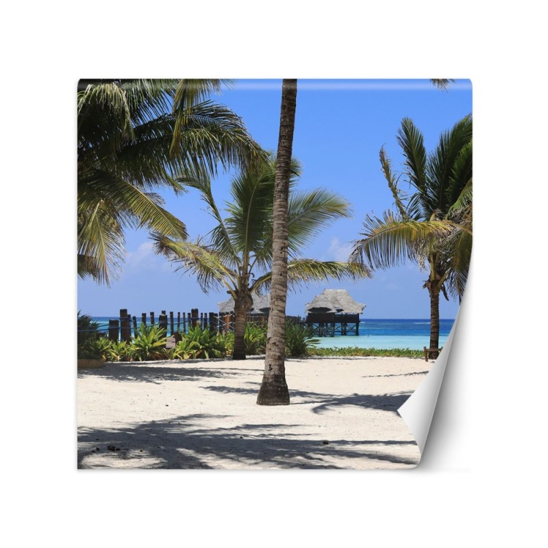 Unique wall mural - Tropical beach palm trees nature | FEEBY