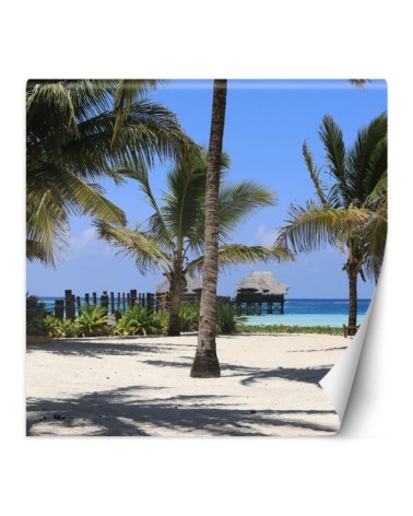 Unique wall mural - Tropical beach palm trees nature | FEEBY