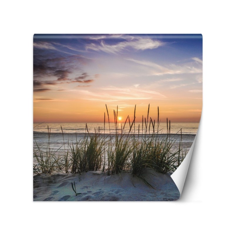 Fototapeta do salonu - Plaża morze zachód słońca | FEEBY