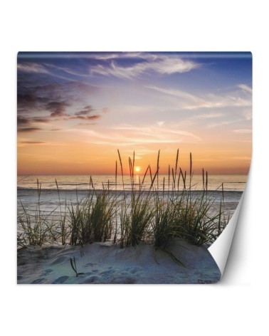 Wall mural for living room - Beach sea sunset | FEEBY