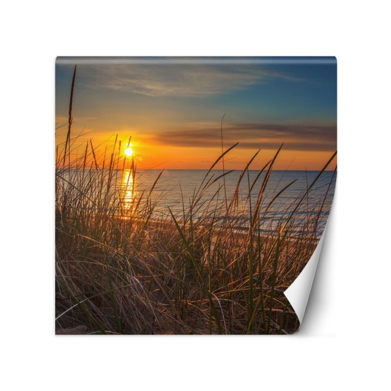 Photo wall mural - Sunset over the sea | FEEBY