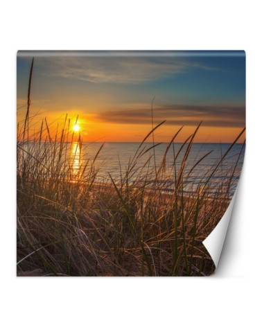 Photo wall mural - Sunset over the sea | FEEBY
