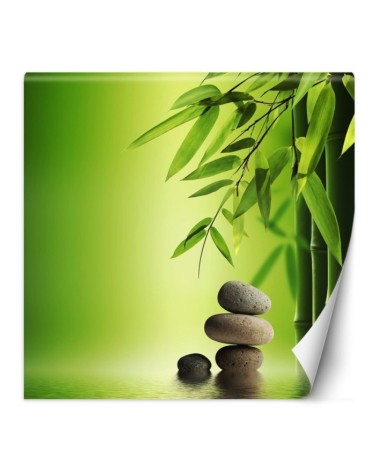 Mural for spa or study - Bamboo leaves on green background | FEEBY