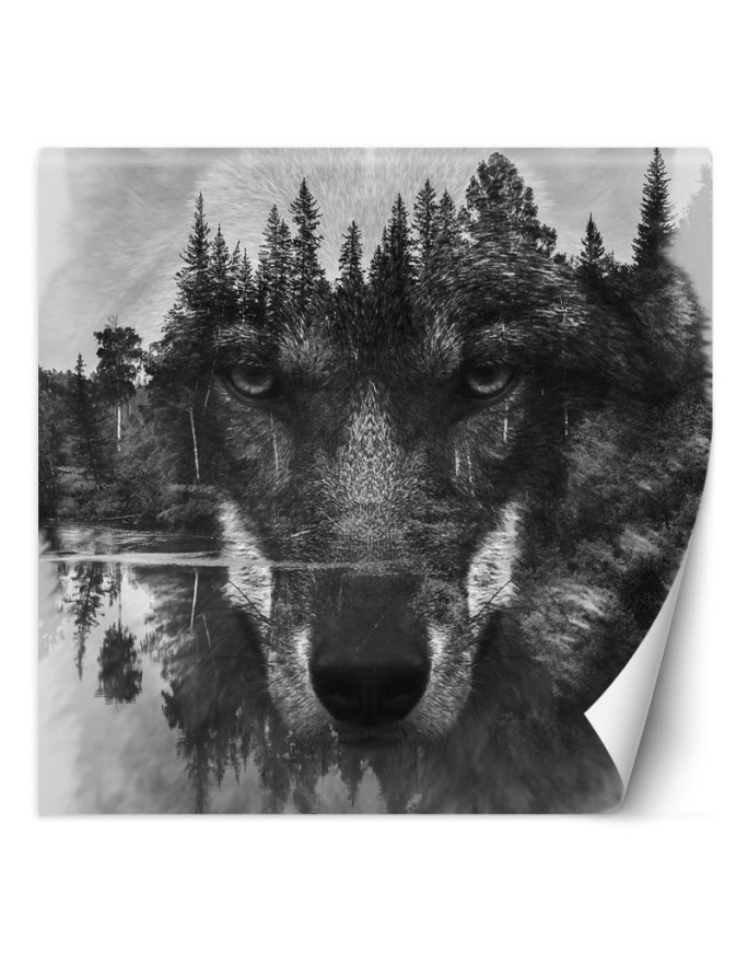 Najmodniejsze fototapety - Wilk las we mgle jezioro | FEEBY