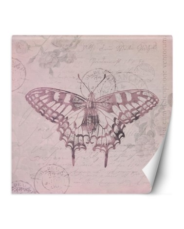 Most fashionable Wallpapers - Butterfly on pink background Andrea Haase | FEEBY