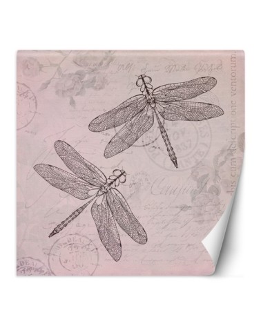 Designer Wallpaper - Dragonfly on pink background Andrea Haase | FEEBY