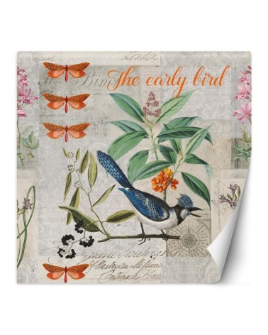 Wall mural - Blue bird on green branch Andrea Haase | FEEBY