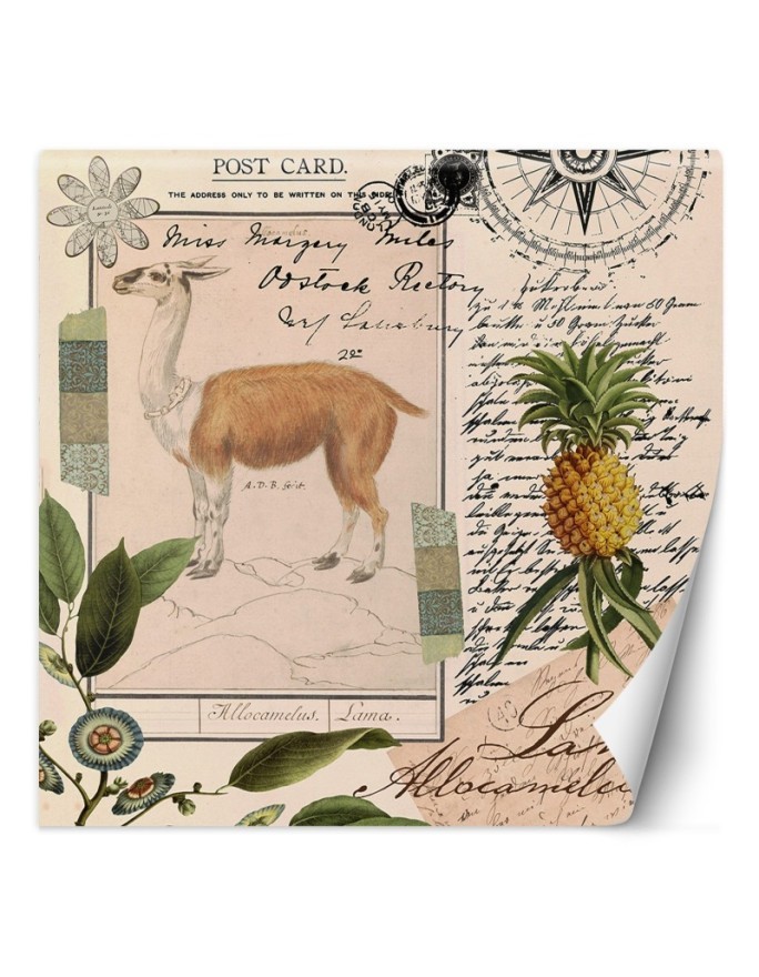 Fototapeta - Lama natura abstrakcja tropikalna Andrea Haase | FEEBY