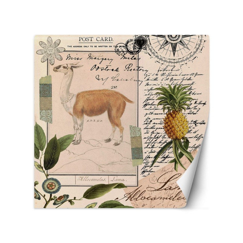 Fototapeta - Lama natura abstrakcja tropikalna Andrea Haase | FEEBY