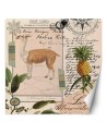 Fototapeta - Lama natura abstrakcja tropikalna Andrea Haase | FEEBY