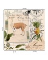 Fototapeta - Lama natura abstrakcja tropikalna Andrea Haase | FEEBY