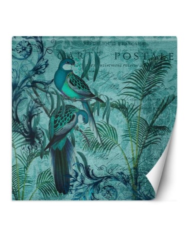 Wall mural - Exotic birds on branches Andrea Haase | FEEBY