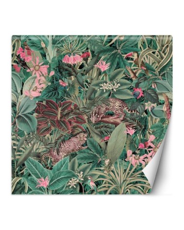 Inspirational wall murals - Exotic animals nature Andrea Haase | FEEBY