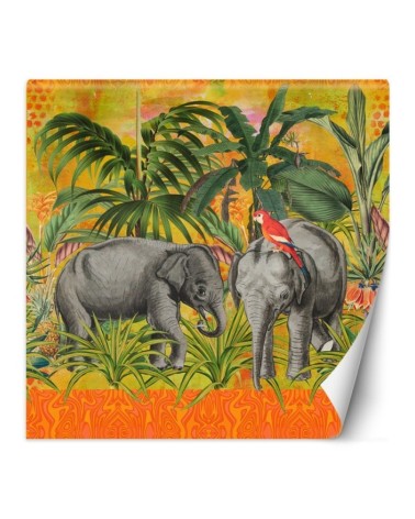 Modern wall murals - Elephants exotic animals elephants Andrea Haase | FEEBY