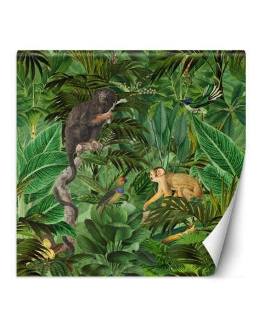 Most fashionable wall murals - Monkeys in the jungle Andrea Haase | FEEBY