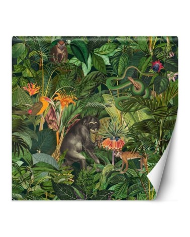 Beautiful wall murals - Jungle animals green leaves Andrea Haase | FEEBY
