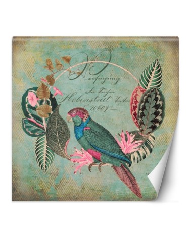 Exotic wall murals - Birds green abstract Andrea Haase | FEEBY