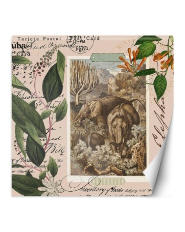 Fashionable wall mural - Beige abstract animals Andrea Haase | FEEBY