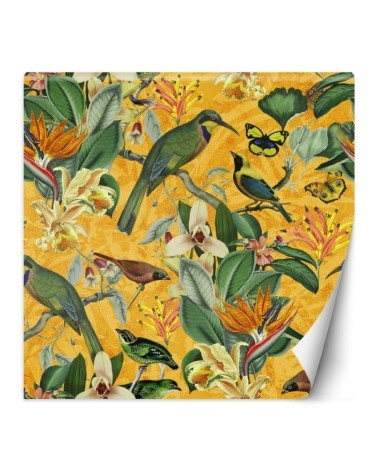 Wall mural - Tropical abstraction birds on a branch Andrea Haase | FEEBY