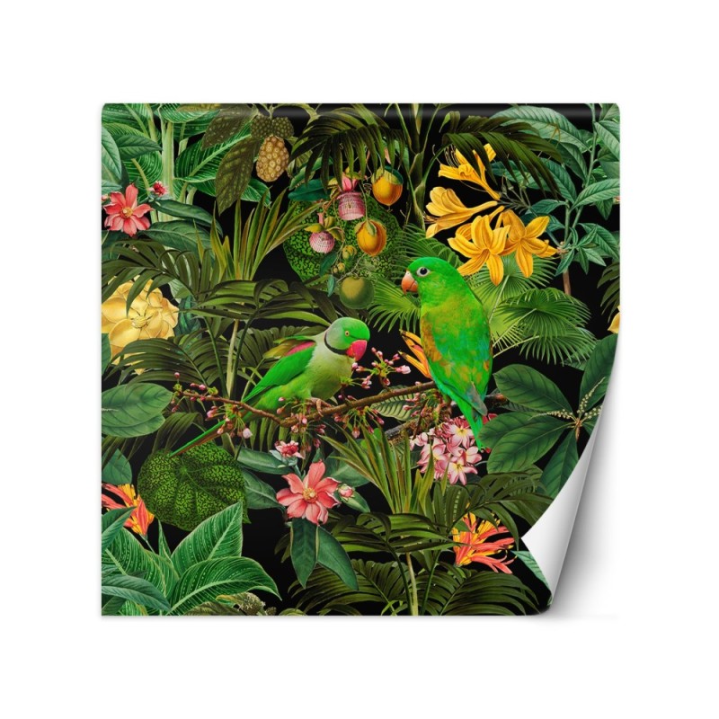 Wallpaper - Jungle birds on green background abstract Andrea Haase | FEEBY