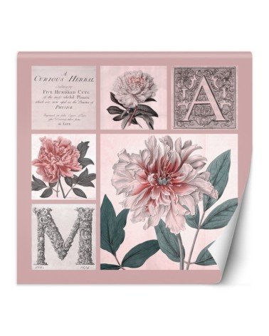 Stylish wall mural - Pink collage Flowers Andrea Haase | FEEBY