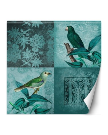 Exclusive wall murals - Birds on a branch Andrea Haase | FEEBY