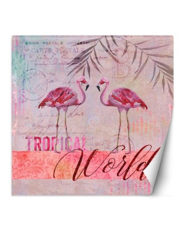 Designer wall murals - Pink flamingos animals Andrea Haase | FEEBY
