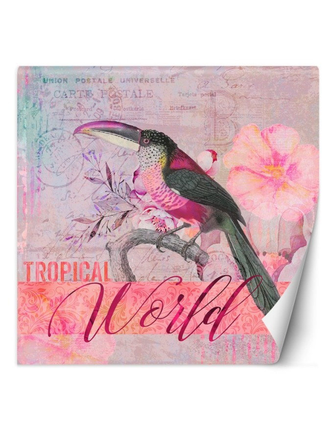 Inspirational wall murals - Parrot in pink shades nature Andrea Haase | FEEBY