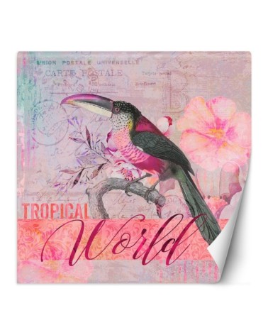 Inspirational wall murals - Parrot in pink shades nature Andrea Haase | FEEBY