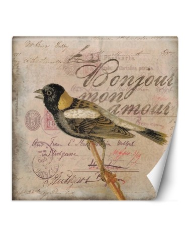 Most fashionable wall murals - Beige background bird animals Andrea Haase | FEEBY