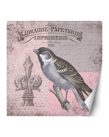 Modern wall murals - Nature bird on pink background Andrea Haase | FEEBY