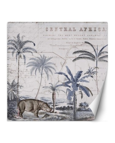 Exclusive wall murals - Hippopotamus tropical animals Andrea Haase | FEEBY