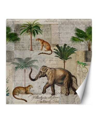 Unique Wallpapers - Elephant animals palm trees nature Andrea Haase | FEEBY
