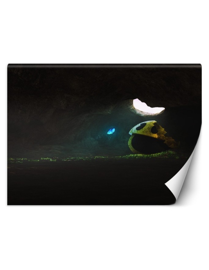 Fototapeta na ścianę - Zapomniany Zehem Chong | FEEBY