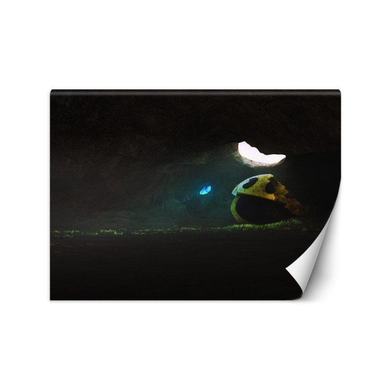 Fototapeta na ścianę - Zapomniany Zehem Chong | FEEBY