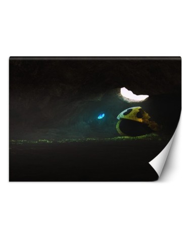 Fototapeta na ścianę - Zapomniany Zehem Chong | FEEBY