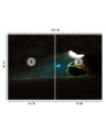 Fototapeta na ścianę - Zapomniany Zehem Chong | FEEBY