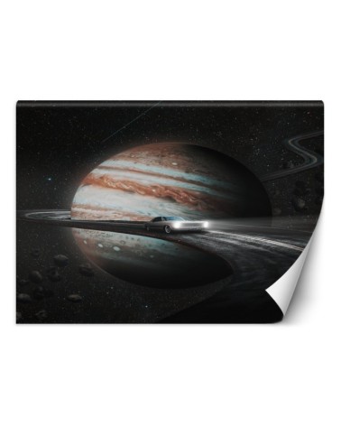 Unique wall murals - Cosmos Abstraction Zehem Chong | FEEBY